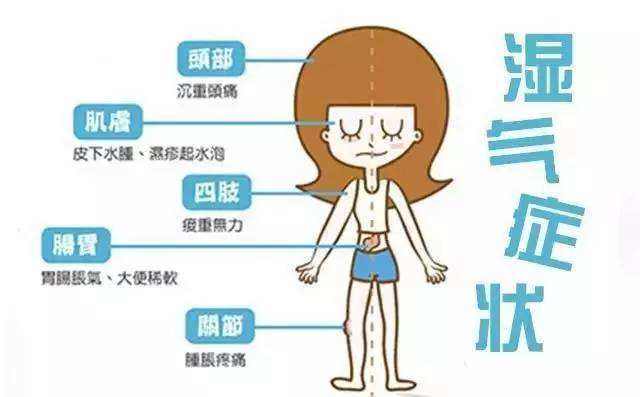 你感觉湿气的症状是？