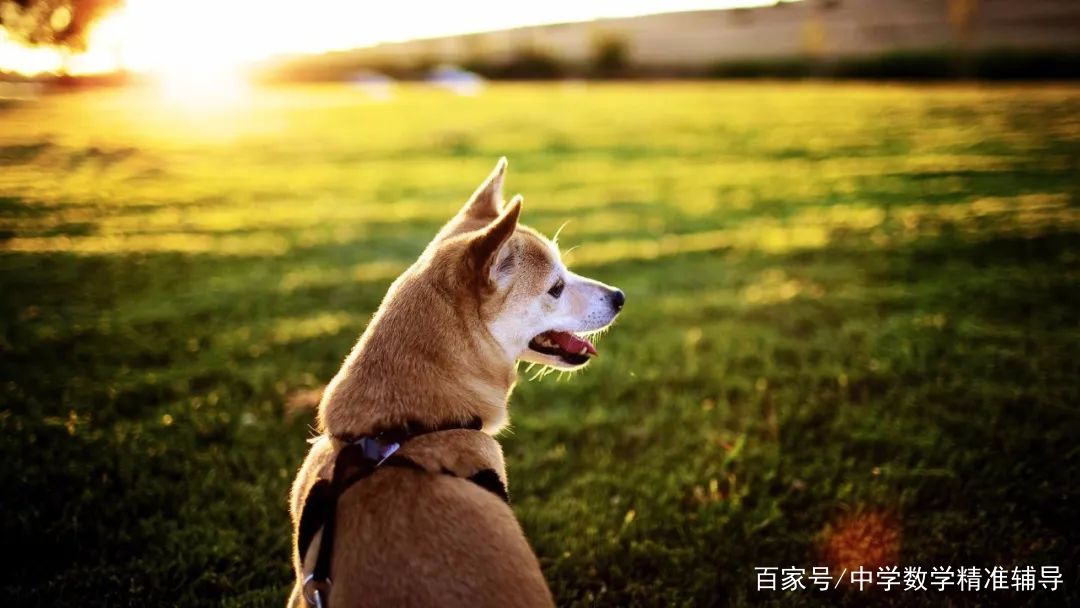 古人講 雞不過六 犬不過八 是什麼意思 知識部落格
