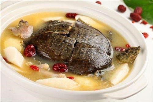 怎么吃甲鱼才最补？